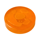 Persimmon Extract — Odor Neutralizer