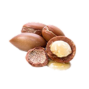 Argan Oil