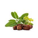 Jojoba Seed Oil